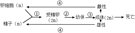 德优题库