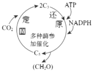 德优题库
