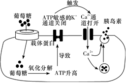 德优题库
