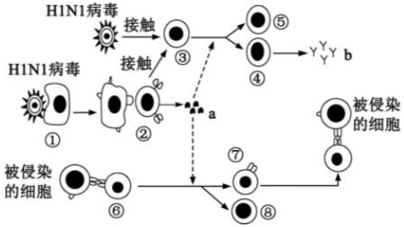 德优题库
