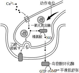 德优题库
