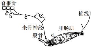德优题库