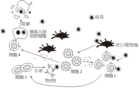 德优题库