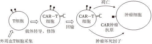 德优题库