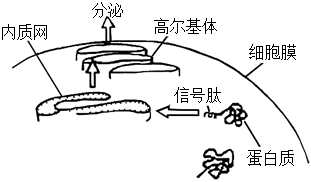德优题库