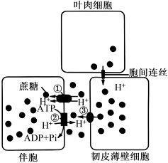 德优题库