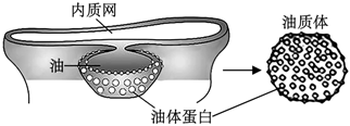 德优题库