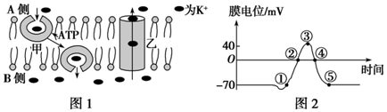 德优题库