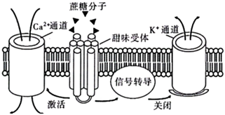 德优题库