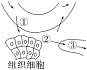 德优题库
