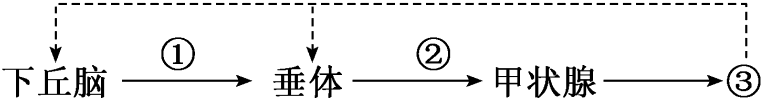 德优题库