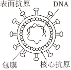 德优题库
