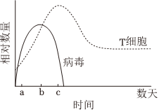 德优题库