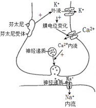 德优题库