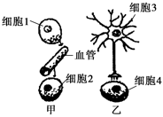 德优题库
