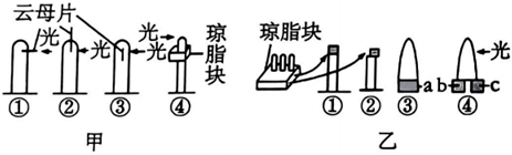 德优题库