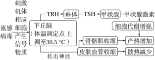 德优题库