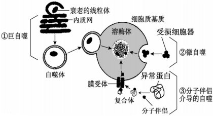德优题库