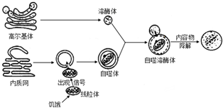 德优题库