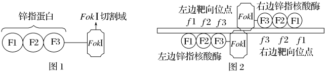 德优题库