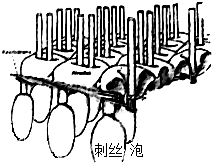 德优题库