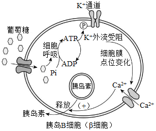 德优题库