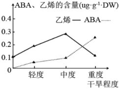 德优题库