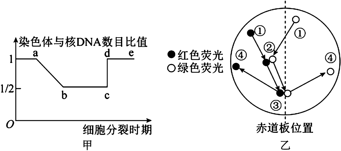 德优题库