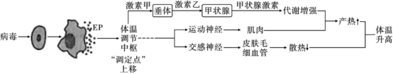 德优题库