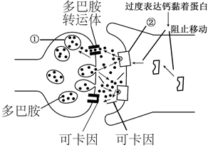 德优题库