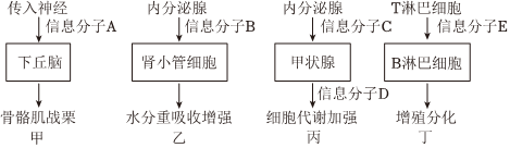 德优题库