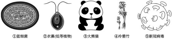 德优题库