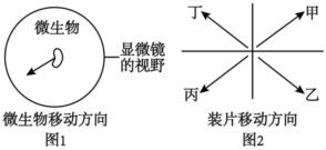 德优题库