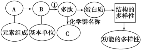 德优题库