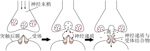德优题库