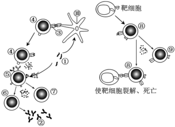德优题库