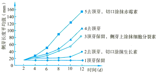 德优题库