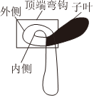 德优题库