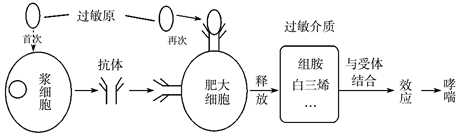 德优题库