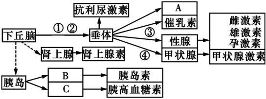 德优题库