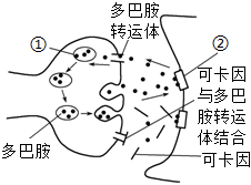 德优题库