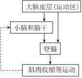 德优题库