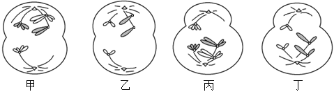 德优题库