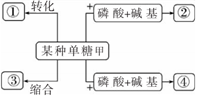 德优题库