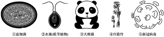 德优题库