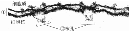 德优题库