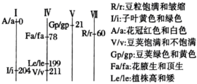 德优题库