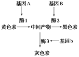 德优题库