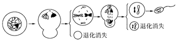 德优题库