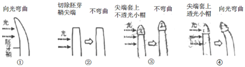 德优题库